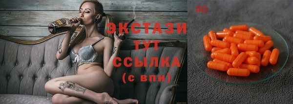 индика Богородицк