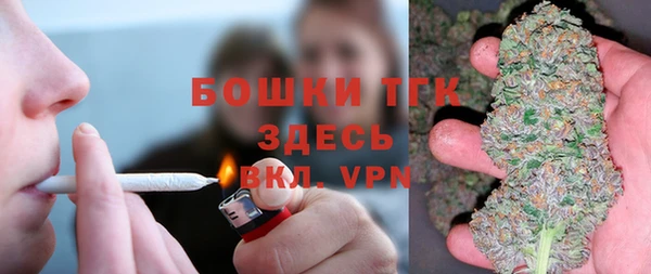 индика Богородицк