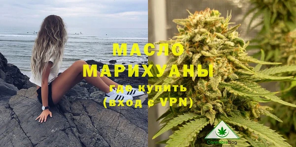 дмт Богородск