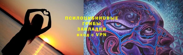 индика Богородицк