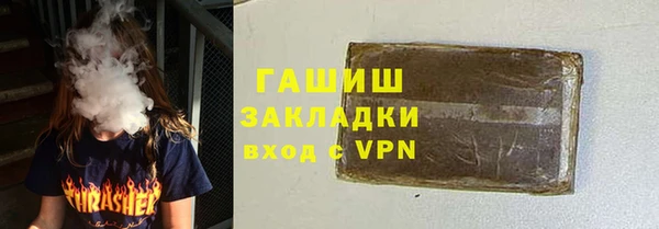 индика Богородицк