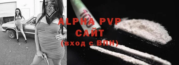 индика Богородицк