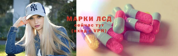 индика Богородицк