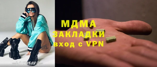 индика Богородицк