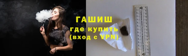индика Богородицк