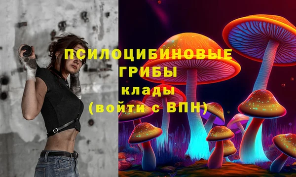 индика Богородицк