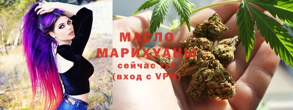 индика Богородицк
