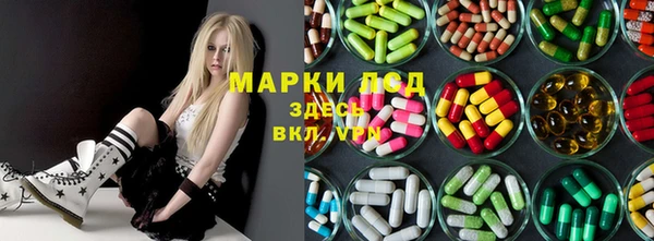 PSILOCYBIN Белокуриха