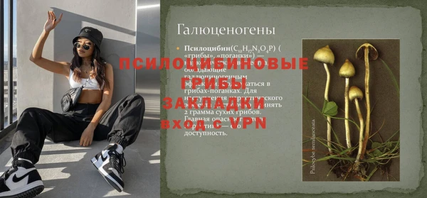 дмт Богородск
