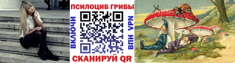 Галлюциногенные грибы Magic Shrooms  Павловск 