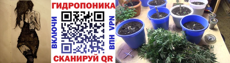Шишки марихуана план Павловск